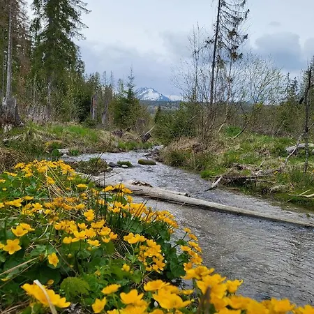In Tatranska Strba/near Strbske Pleso With Free Parking