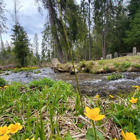 In Tatranska Strba/near Strbske Pleso With Free Parking גולובינקה