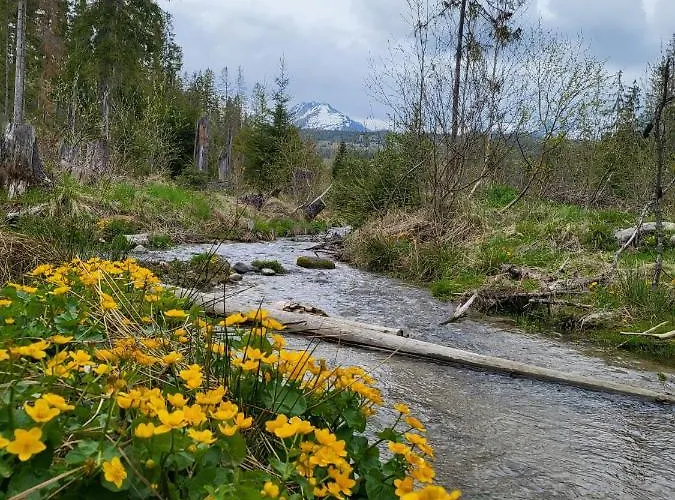 In Tatranska Strba/near Strbske Pleso With Free Parking