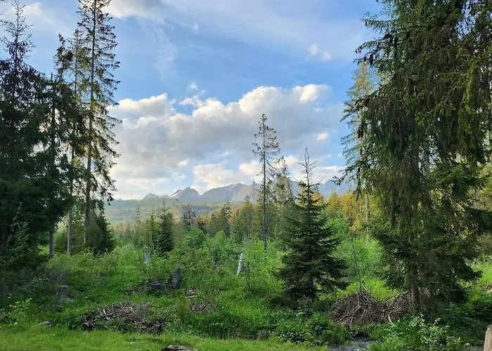 In Tatranska Strba/near Strbske Pleso With Free Parking Apartman Tátracsorba