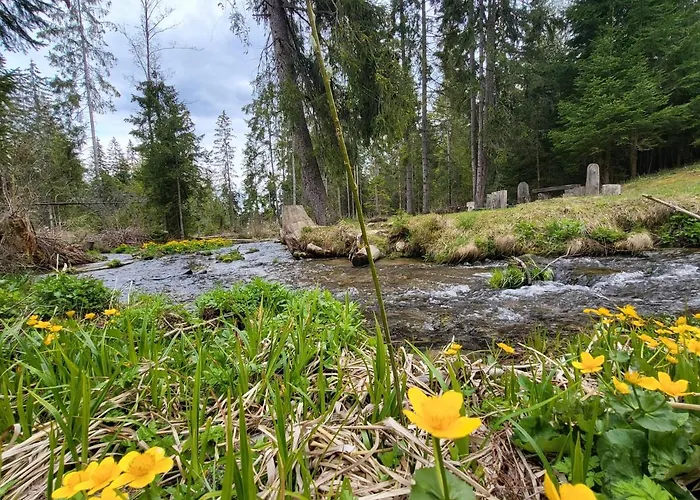In Tatranska Strba/near Strbske Pleso With Free Parking タトランスカー・シュトゥルバ